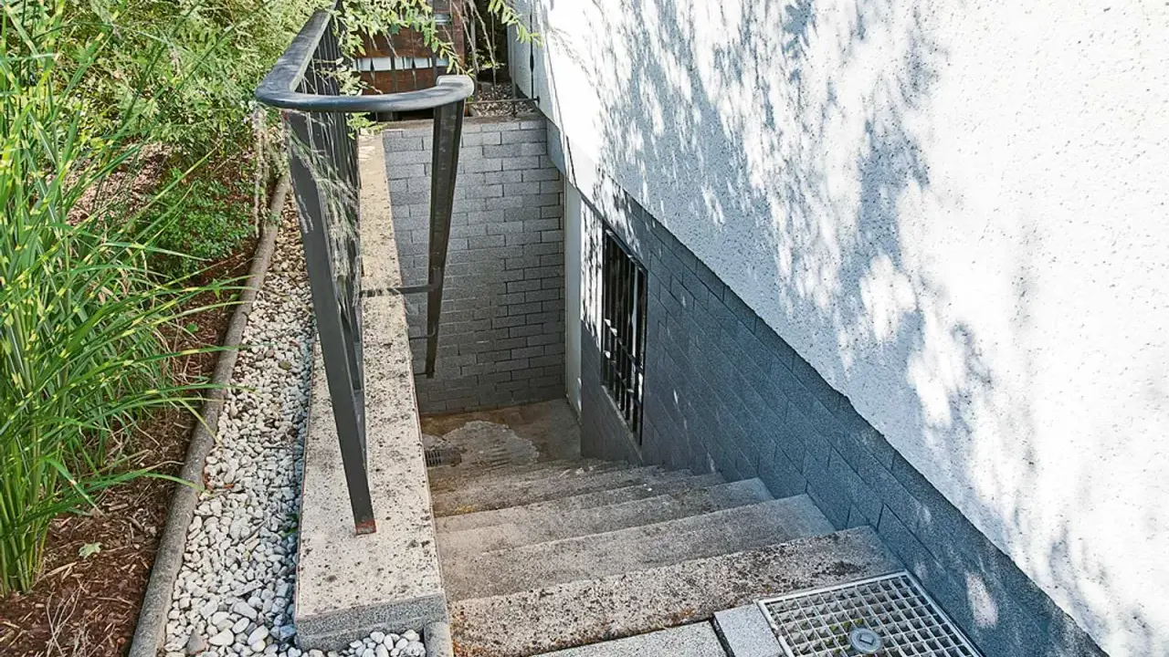 Betontreppe sanieren: Alte Steintreppe mit Geländer führt zu einer Kellertür. Grüne Pflanzen und Kies säumen den Weg.