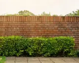 Eine Ziegelmauer im Garten, umgeben von üppigem Grün und blühenden Pflanzen. Tolle Ideen für Gartenmauern!