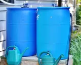 Zwei blaue Regentonnen sind verbunden, um Regenwasser zu sammeln. Zwei grüne Gießkannen stehen davor.
