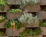 Grüne Oasen in Beton: Üppig bepflanzte Pflanzsteine bilden eine lebendige Wand. Eine Gießkanne wartet auf ihren Einsatz.
