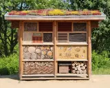 Ein liebevoll gestaltetes **Insektenhotel DIY** mit begrüntem Dach, gefüllt mit Holz, Tannenzapfen und Lehm. Ein Paradies für nützliche Insekten.