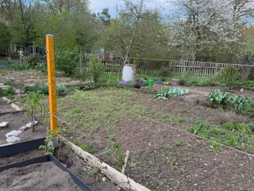 Ein Garten mit Beeten und einem provisorischen, freistehenden Rankgitter selber machen. Ein gelber Holzpfosten stützt Drahtseile für Pflanzen.