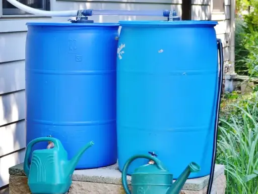 Zwei blaue Regentonnen sind verbunden, um Regenwasser zu sammeln. Zwei grüne Gießkannen stehen davor.