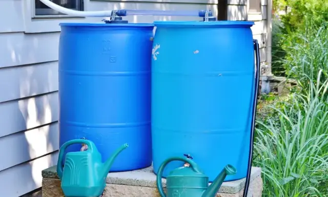 Zwei blaue Regentonnen sind verbunden, um Regenwasser zu sammeln. Zwei grüne Gießkannen stehen davor.