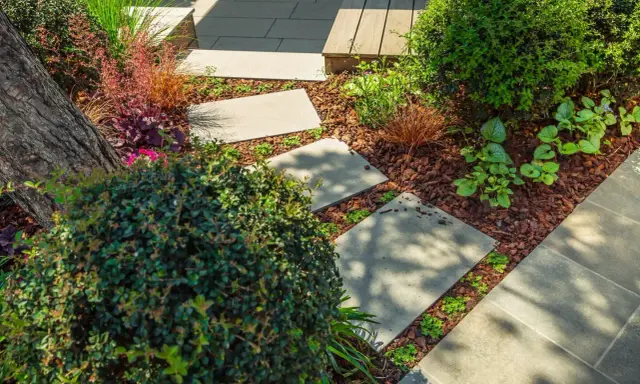 Schritt für Schritt: Gehwegplatten verlegen in einem üppigen Garten mit Rindenmulch und verschiedenen Pflanzen.