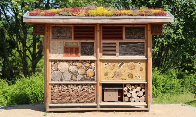 Ein liebevoll gestaltetes **Insektenhotel DIY** mit begrüntem Dach, gefüllt mit Holz, Tannenzapfen und Lehm. Ein Paradies für nützliche Insekten.