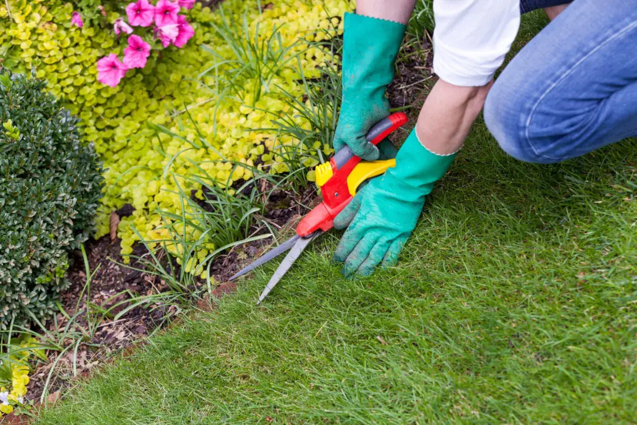 Gr&uuml;ne Handschuhe und eine Gartenschere werden benutzt, um die Rasenkanten zu setzen und den Garten ordentlich zu halten.