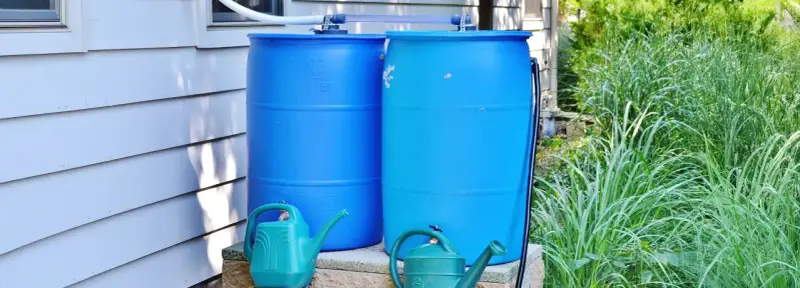 Zwei blaue Regentonnen sind verbunden, um Regenwasser zu sammeln. Zwei grüne Gießkannen stehen davor.